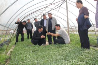 我校科技工作者上門服務現代農業(yè)企業(yè)