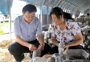 壯麗70年 奮斗新時(shí)代 濮陽(yáng) 讓鄉(xiāng)土人才 香 起來(lái)