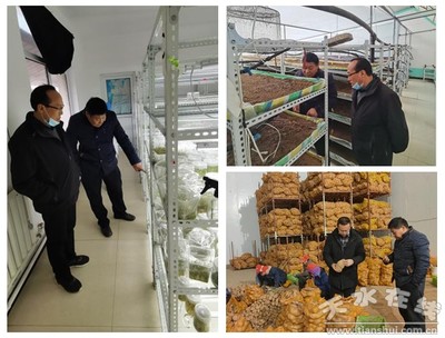 國家馬鈴薯產業技術體系天水綜合試驗站開展對接服務企業活動(圖)