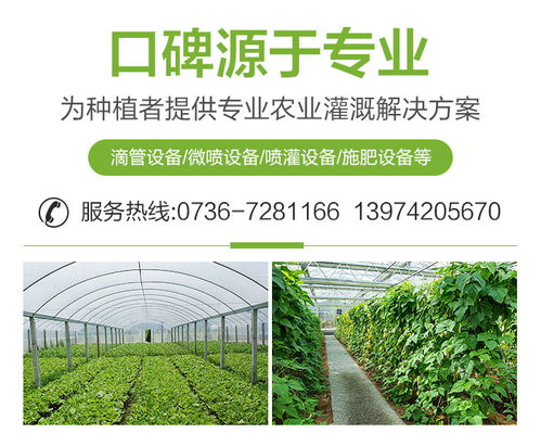 果樹施肥設(shè)備公司 吉鑫農(nóng)業(yè)科技 在線咨詢 岳陽果樹施肥設(shè)備