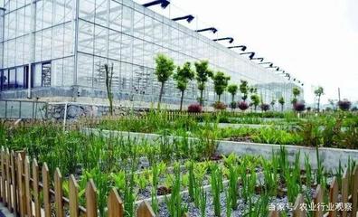 都市農(nóng)業(yè)未來(lái)在哪里?科技+商業(yè)