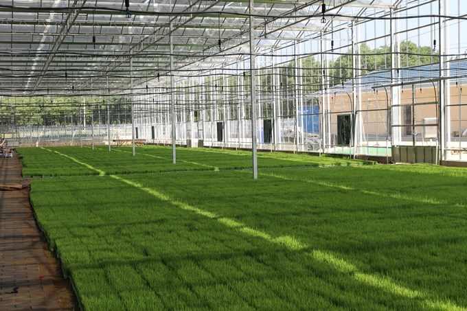 【大國(guó)&ldquo;糧&rdquo;策】南京高淳:打造&ldquo;金扁擔(dān)&rdquo;助力農(nóng)業(yè)現(xiàn)代化高質(zhì)量發(fā)展