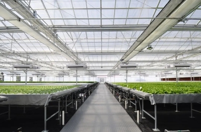 沈陽(yáng),一個(gè)意想不到的農(nóng)業(yè)大市