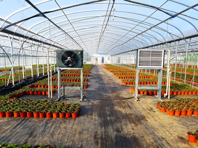 飛龍農(nóng)業(yè)溫控:為中國(guó)農(nóng)業(yè)溫控插上科技的翅膀