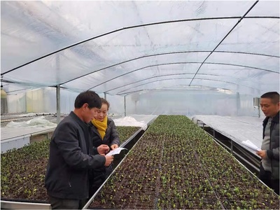 崇仁縣人民政府 工作動(dòng)態(tài) 心系民生送關(guān)懷 科技溫情暖人心--崇仁科技特派員深入一線指導(dǎo)農(nóng)作物防寒防凍工作