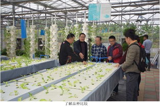 江門市農業科技創新中心組團赴省農業科學院 取經