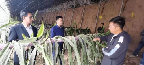 第91批中國博士后科技服務(wù)團(tuán)走進(jìn)山西天鎮(zhèn)