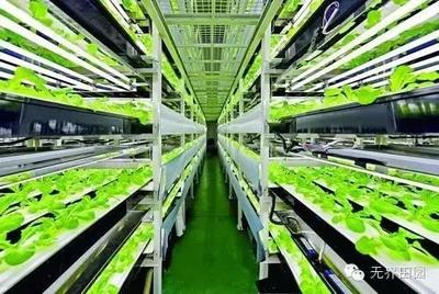 目測這個(gè)農(nóng)業(yè)項(xiàng)目要火,日本臺(tái)灣的科技巨頭都看好!