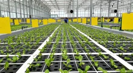 【農(nóng)業(yè)科技】新一代智慧農(nóng)業(yè)技術(shù)應(yīng)用展望