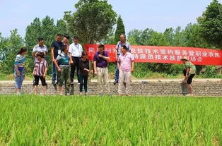 六月圖片精選 上