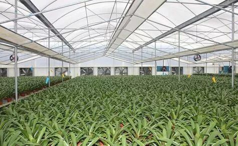 財政部公示21個國家現(xiàn)代農(nóng)業(yè)產(chǎn)業(yè)園,服務(wù)現(xiàn)代農(nóng)業(yè)我們是認(rèn)真的