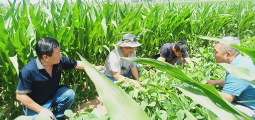 銀川市農業農村系統深入田間地頭宣講黨代會精神