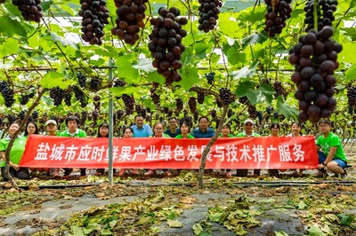 科技服務(wù)中心開展暑期田間課堂科普教育活動