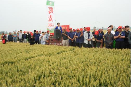 優(yōu)特產(chǎn)業(yè)支撐計(jì)劃優(yōu)質(zhì)小麥專項(xiàng)在滑縣召開觀摩會 鄭麥1860樹立 種糧一體化 新標(biāo)桿