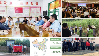 黨建巡禮&middot;樣板支部 | 黨建引領(lǐng)聚合力,守護(hù)中國&ldquo;糖罐子&rdquo;