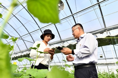 地頭來了鄉(xiāng)村振興服務(wù)隊(duì)