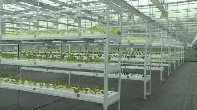 全省綠色蔬菜產(chǎn)業(yè)高質(zhì)量發(fā)展現(xiàn)場推進(jìn)會在響水召開!附評論.