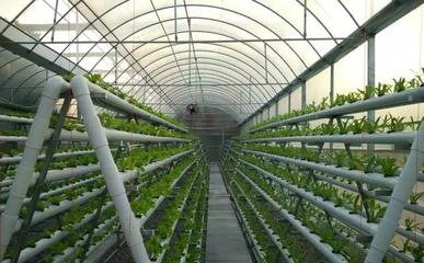 幾種現代精準農業種植新模式!