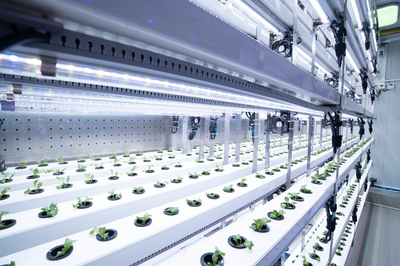 拼多多發(fā)布Q3財報,全面加速高質(zhì)量發(fā)展,繼續(xù)加碼農(nóng)研科技