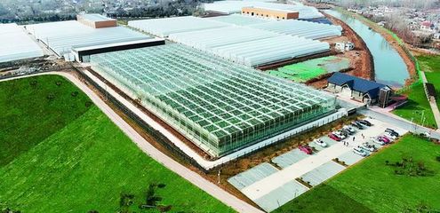 農(nóng)業(yè)生產(chǎn)方式創(chuàng)新:都市農(nóng)場;數(shù)據(jù):農(nóng)業(yè)總產(chǎn)值或達(dá)10.7萬億