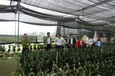 助推鄉(xiāng)村振興:九三學(xué)社廣東省委到肇專題深調(diào)研