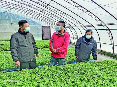 酒泉市農科院科技服務保障蔬菜生產安全