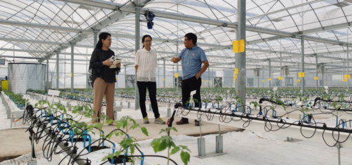 河南省科技支撐鄉(xiāng)村振興工作網 農業(yè)科技服務賦能鄉(xiāng)村發(fā)展