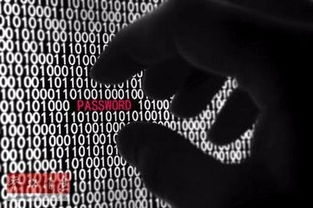 如何構建CMS系統 從零開始的完整指南